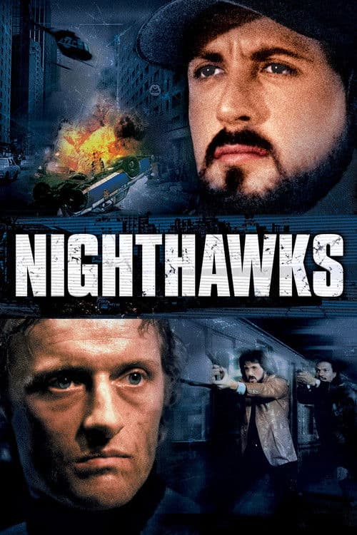 Ночные ястребы